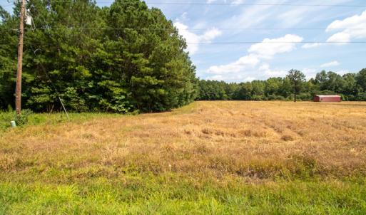 Photo #22 of Off Highway 258,  Rich Square , NC 27.8 acres