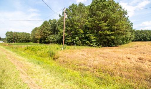 Photo #23 of Off Highway 258,  Rich Square , NC 27.8 acres