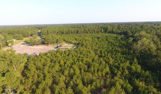 Photo #8 of Off John Owen Rd, White Oak, NC 18.6 acres