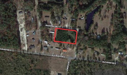 Photo #1 of SOLD property in 1133 Rockfish Drive, Manning, SC 1.5 acres