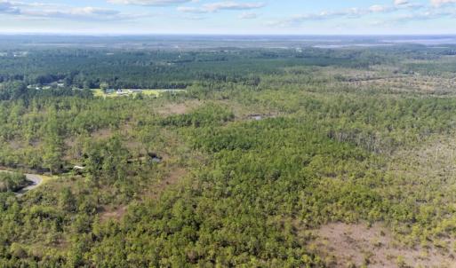 Photo #7 of 1022 Horne Rd, Lowland, NC 10.0 acres