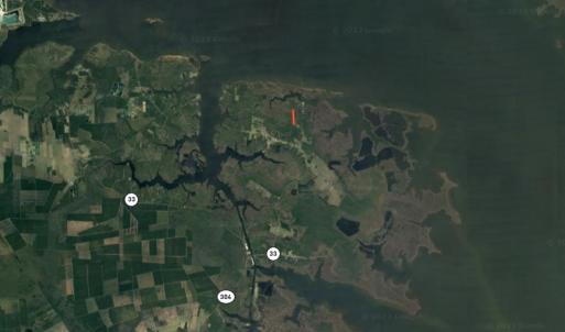 Photo #47 of 1022 Horne Rd, Lowland, NC 10.0 acres