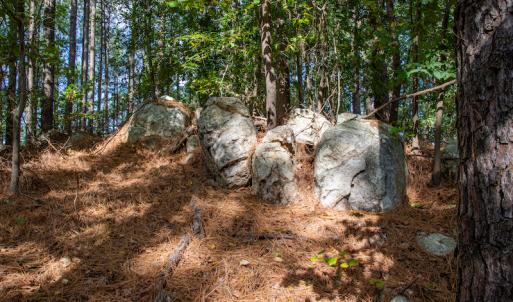 Photo #15 of SOLD property in Off Hwy 24-27 W, Mt. Gilead, NC 46.1 acres