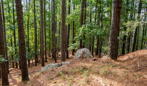 Photo #17 of SOLD property in Off Hwy 24-27 W, Mt. Gilead, NC 46.1 acres