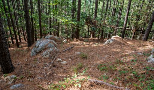 Photo #20 of SOLD property in Off Hwy 24-27 W, Mt. Gilead, NC 46.1 acres