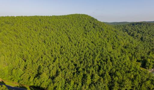 Photo #3 of SOLD property in Off Hwy 24-27 W, Mt. Gilead, NC 46.1 acres