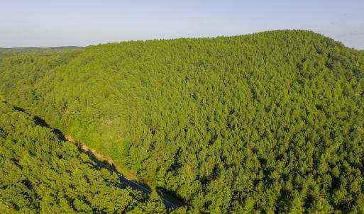 Photo #4 of SOLD property in Off Hwy 24-27 W, Mt. Gilead, NC 46.1 acres