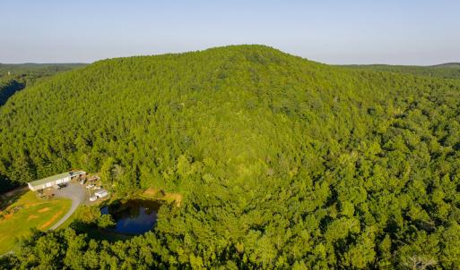 Photo #5 of SOLD property in Off Hwy 24-27 W, Mt. Gilead, NC 46.1 acres