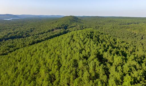 Photo #7 of SOLD property in Off Hwy 24-27 W, Mt. Gilead, NC 46.1 acres