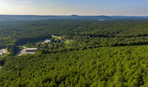 Photo #8 of SOLD property in Off Hwy 24-27 W, Mt. Gilead, NC 46.1 acres
