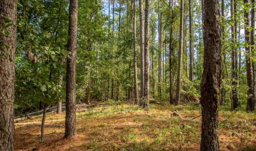 Photo #10 of SOLD property in Off Hwy 24-27 W, Mt. Gilead, NC 46.1 acres