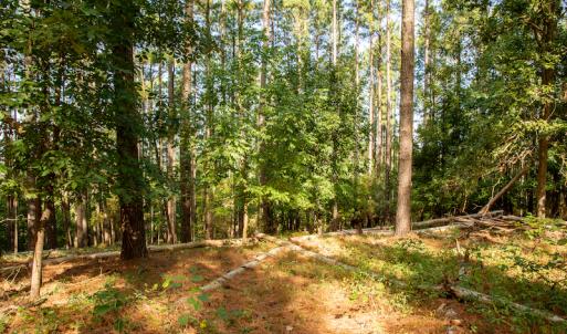 Photo #28 of SOLD property in Off Hwy 24-27 W, Mt. Gilead, NC 46.1 acres