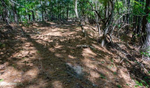 Photo #29 of SOLD property in Off Hwy 24-27 W, Mt. Gilead, NC 46.1 acres