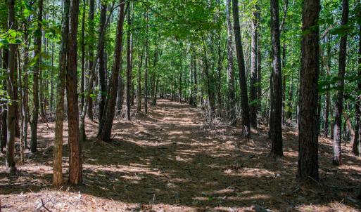 Photo #34 of SOLD property in Off Hwy 24-27 W, Mt. Gilead, NC 46.1 acres