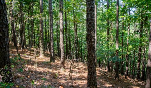 Photo #36 of SOLD property in Off Hwy 24-27 W, Mt. Gilead, NC 46.1 acres
