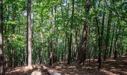 Photo #37 of SOLD property in Off Hwy 24-27 W, Mt. Gilead, NC 46.1 acres