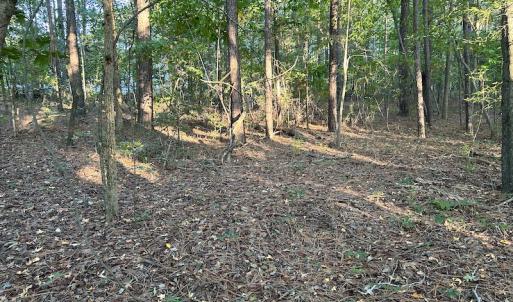 Photo #9 of 545 Holly Grove School Road, West End, NC 1.0 acres