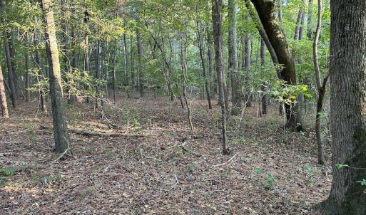 Photo #10 of 545 Holly Grove School Road, West End, NC 1.0 acres