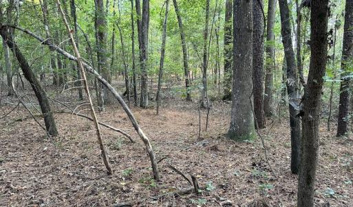 Photo #12 of 545 Holly Grove School Road, West End, NC 1.0 acres