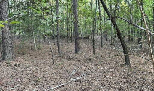 Photo #13 of 545 Holly Grove School Road, West End, NC 1.0 acres