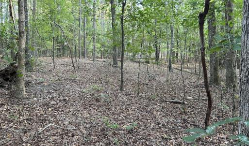 Photo #14 of 545 Holly Grove School Road, West End, NC 1.0 acres