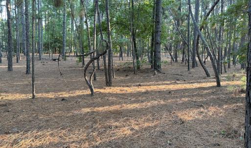 Photo #15 of 545 Holly Grove School Road, West End, NC 1.0 acres