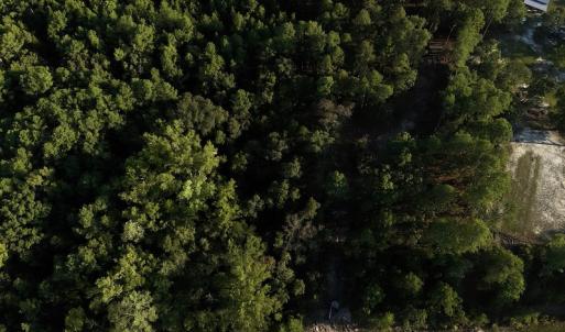 Photo #2 of 545 Holly Grove School Road, West End, NC 1.0 acres
