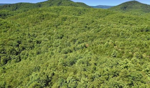 Photo #4 of SOLD property in Off Doe Circle, Clifton Forge, VA 10.6 acres