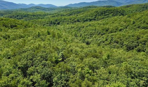 Photo #6 of SOLD property in Off Doe Circle, Clifton Forge, VA 10.6 acres