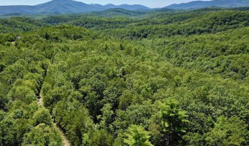 Photo #7 of SOLD property in Off Doe Circle, Clifton Forge, VA 10.6 acres