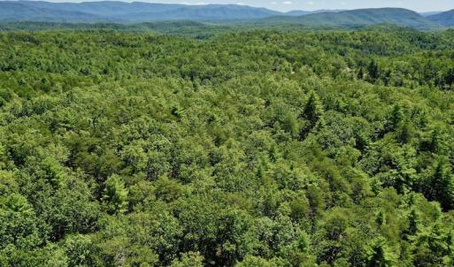 Photo #8 of SOLD property in Off Doe Circle, Clifton Forge, VA 10.6 acres
