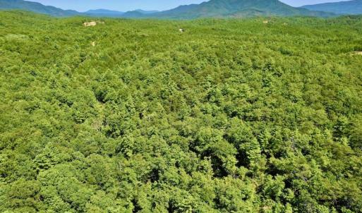 Photo #12 of SOLD property in Off Doe Circle, Clifton Forge, VA 10.6 acres