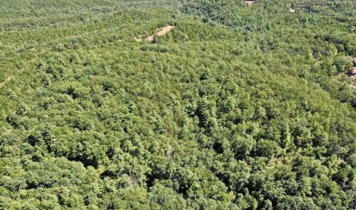 Photo #14 of SOLD property in Off Doe Circle, Clifton Forge, VA 10.6 acres