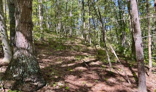 Photo #26 of SOLD property in Off Doe Circle, Clifton Forge, VA 10.6 acres