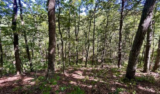 Photo #29 of SOLD property in Off Doe Circle, Clifton Forge, VA 10.6 acres