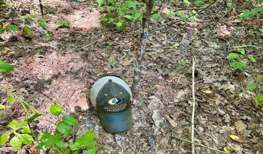 Photo #30 of SOLD property in Off Doe Circle, Clifton Forge, VA 10.6 acres