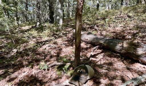 Photo #34 of SOLD property in Off Doe Circle, Clifton Forge, VA 10.6 acres