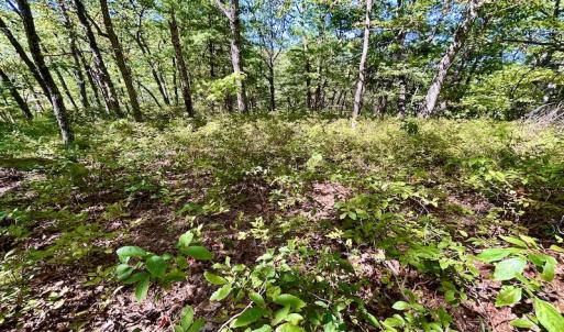 Photo #35 of SOLD property in Off Doe Circle, Clifton Forge, VA 10.6 acres