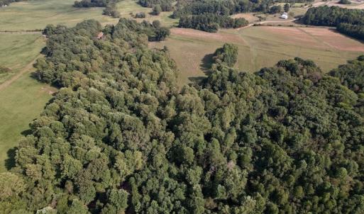 Photo #9 of Off Willis Pinnell Road , Norlina, NC 2.9 acres