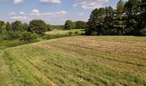 Photo #14 of Off Willis Pinnell Road , Norlina, NC 2.9 acres