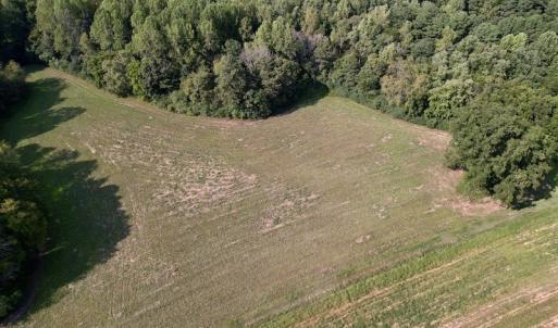 Photo #17 of Off Willis Pinnell Road , Norlina, NC 2.9 acres