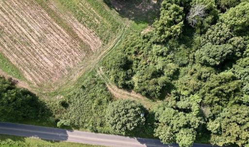 Photo #18 of Off Willis Pinnell Road , Norlina, NC 2.9 acres