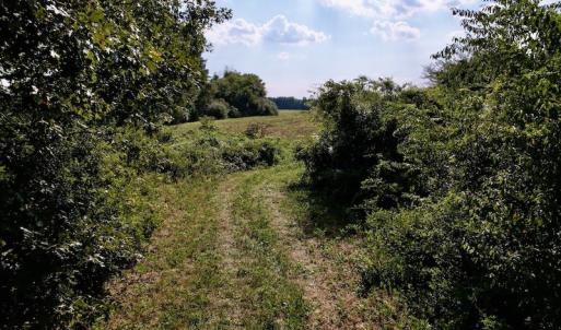Photo #20 of Off Willis Pinnell Road , Norlina, NC 2.9 acres