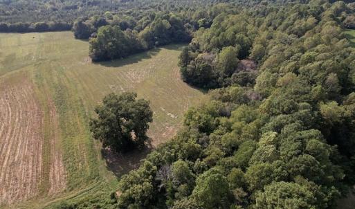 Photo #4 of Off Willis Pinnell Road , Norlina, NC 2.9 acres