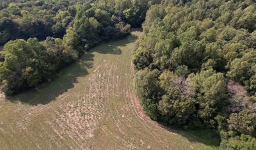 Photo #5 of Off Willis Pinnell Road , Norlina, NC 2.9 acres