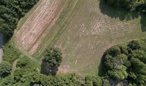 Photo #6 of Off Willis Pinnell Road , Norlina, NC 2.9 acres