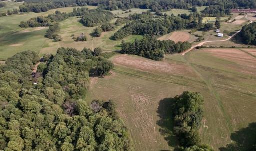 Photo #8 of Off Willis Pinnell Road , Norlina, NC 2.9 acres