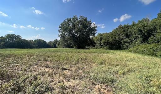 Photo #21 of Off Willis Pinnell Road , Norlina, NC 2.9 acres