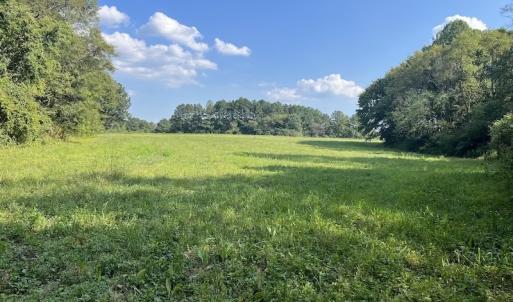 Photo #23 of Off Willis Pinnell Road , Norlina, NC 2.9 acres
