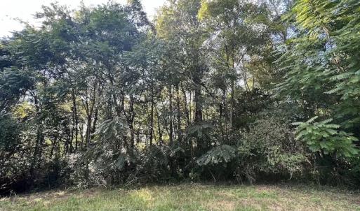 Photo #24 of Off Willis Pinnell Road , Norlina, NC 2.9 acres